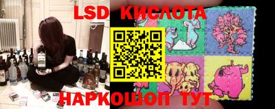 гидропоника Будённовск