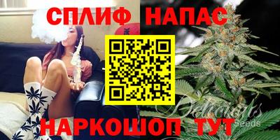 гидропоника Будённовск
