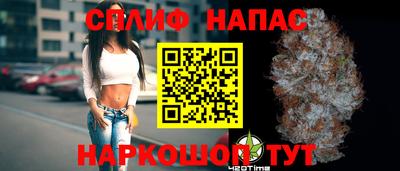 гидропоника Будённовск